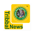 Tribal News logo